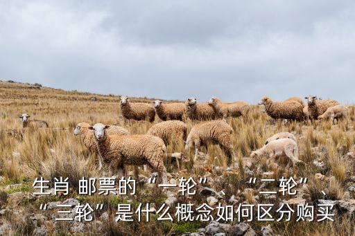  生肖 郵票的“一輪”、“二輪”、“ 三輪”是什么概念如何區(qū)分購(gòu)買