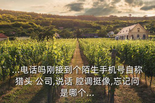 ...電話嗎剛接到個(gè)陌生手機(jī)號(hào)自稱獵頭 公司,說(shuō)話 腔調(diào)挺像,忘記問(wèn)是哪個(gè)...