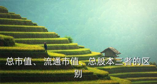 總市值、 流通市值、總股本三者的區(qū)別