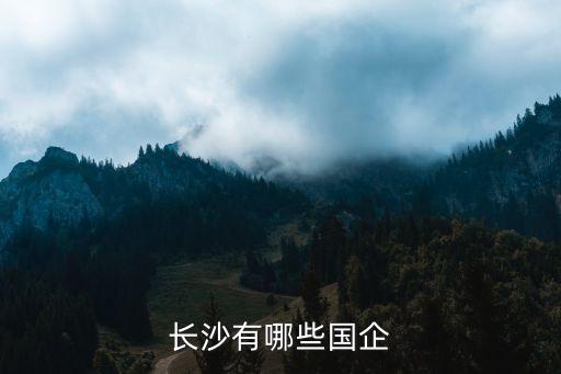 長(zhǎng)沙有哪些國企