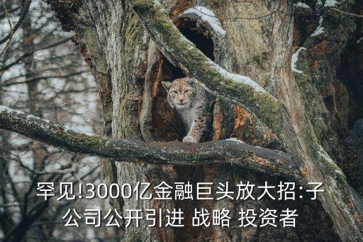 罕見!3000億金融巨頭放大招:子公司公開引進 戰(zhàn)略 投資者