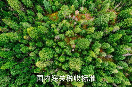 國內(nèi)海關(guān)稅收標準