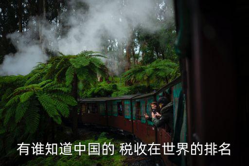 有誰知道中國(guó)的 稅收在世界的排名