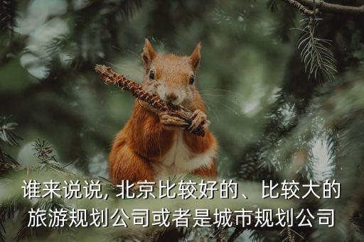 誰來說說, 北京比較好的、比較大的旅游規(guī)劃公司或者是城市規(guī)劃公司