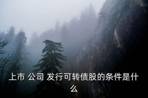 上市 公司 發(fā)行可轉債股的條件是什么