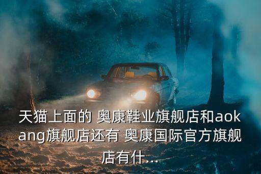 奧康集團財務(wù)分析,旺旺集團財務(wù)分析論文