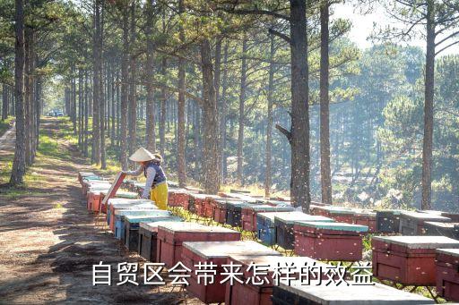  自貿(mào)區(qū)會(huì)帶來怎樣的效益