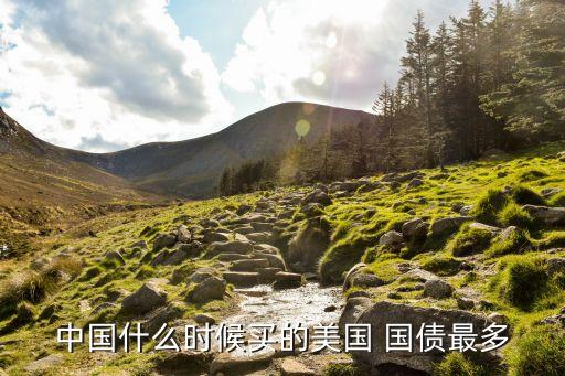 中國什么時(shí)候買的美國 國債最多
