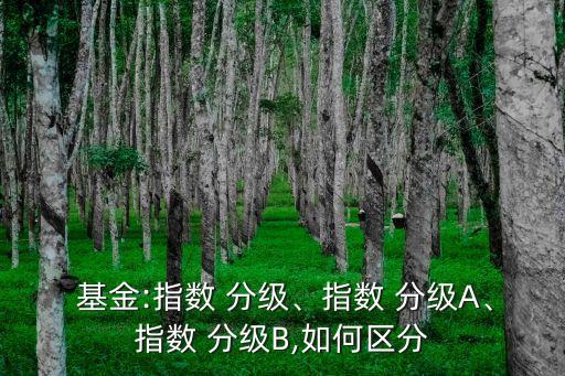  基金:指數(shù) 分級(jí)、指數(shù) 分級(jí)A、指數(shù) 分級(jí)B,如何區(qū)分