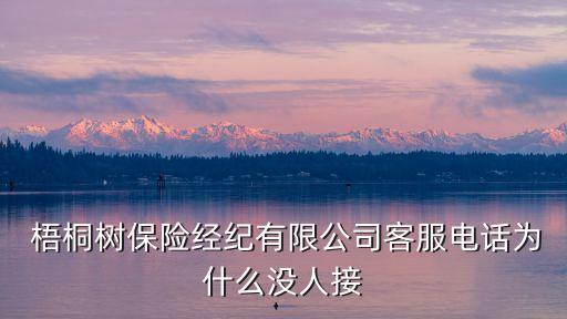  梧桐樹(shù)保險(xiǎn)經(jīng)紀(jì)有限公司客服電話為什么沒(méi)人接