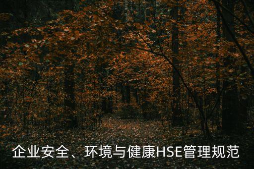企業(yè)安全、環(huán)境與健康HSE管理規(guī)范