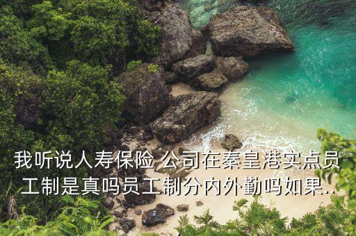 我聽說人壽保險 公司在秦皇港實點員工制是真嗎員工制分內外勤嗎如果...