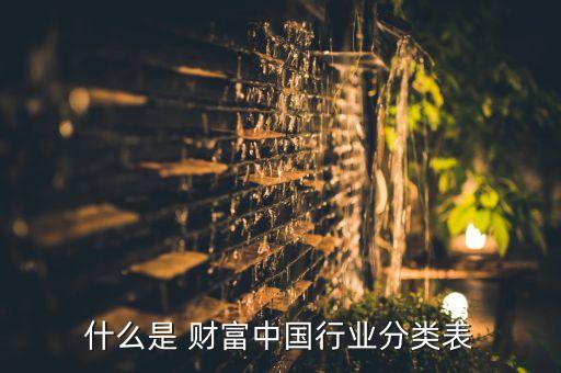 什么是 財富中國行業(yè)分類表
