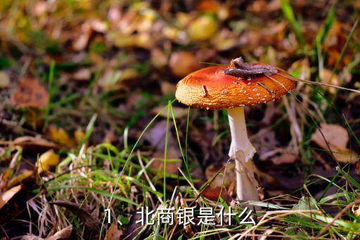1、北商銀是什么