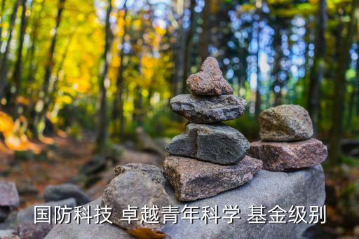 國(guó)防科技 卓越青年科學(xué) 基金級(jí)別