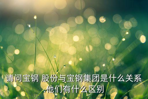 請(qǐng)問(wèn)寶鋼 股份與寶鋼集團(tuán)是什么關(guān)系.他們有什么區(qū)別