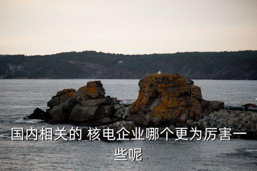 國內(nèi)相關(guān)的 核電企業(yè)哪個更為厲害一些呢