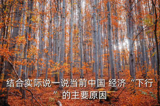 結(jié)合實際說一說當(dāng)前中國 經(jīng)濟“下行”的主要原因
