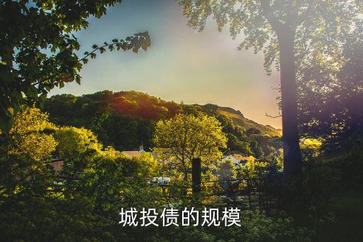 上海市地方政府負債數據,政府負債數據怎么查
