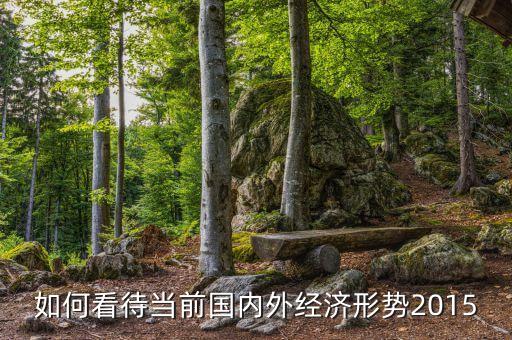 如何看待當(dāng)前國內(nèi)外經(jīng)濟(jì)形勢(shì)2015