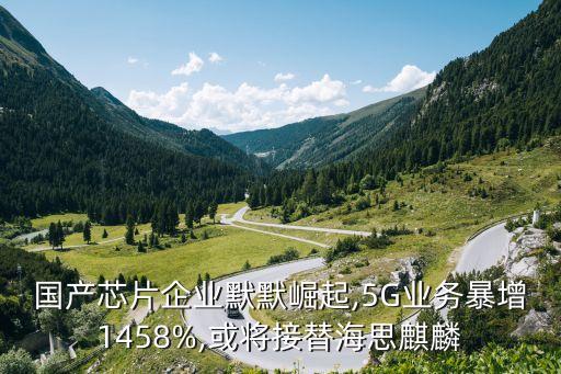 國產芯片企業(yè)默默崛起,5G業(yè)務暴增1458%,或將接替海思麒麟