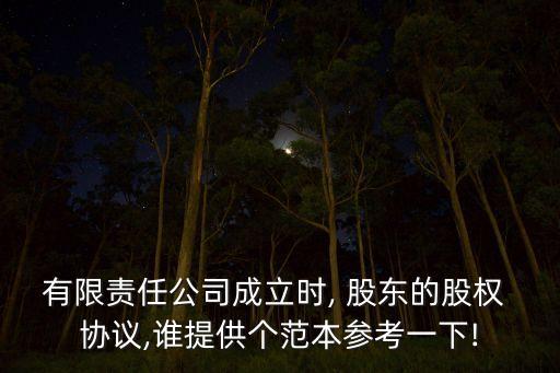 有限責(zé)任公司成立時(shí), 股東的股權(quán) 協(xié)議,誰(shuí)提供個(gè)范本參考一下!