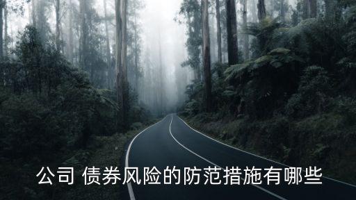  公司 債券風險的防范措施有哪些