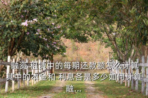 上海融資租賃利息多少,融資租賃利息計(jì)算器在線(xiàn)計(jì)算