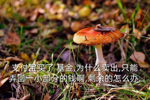 支付寶買(mǎi)了 基金,為什么賣(mài)出,只能弄回一小部分的錢(qián)啊,剩余的怎么辦...