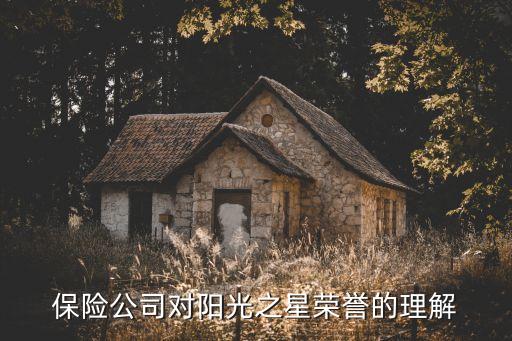 中國保險(xiǎn)年度人物