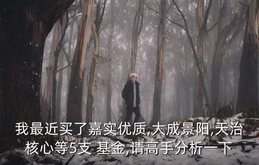 我最近買了嘉實(shí)優(yōu)質(zhì),大成景陽(yáng),天治核心等5支 基金,請(qǐng)高手分析一下