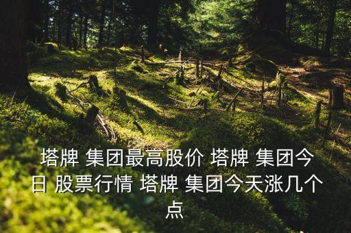  塔牌 集團(tuán)最高股價 塔牌 集團(tuán)今日 股票行情 塔牌 集團(tuán)今天漲幾個點