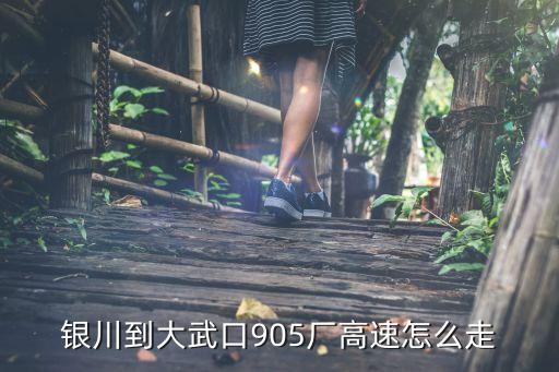 銀川到大武口905廠(chǎng)高速怎么走