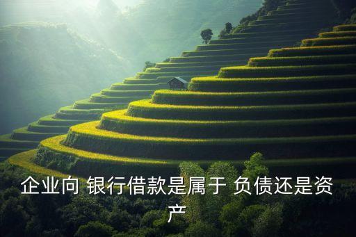 企業(yè)向 銀行借款是屬于 負債還是資產(chǎn)