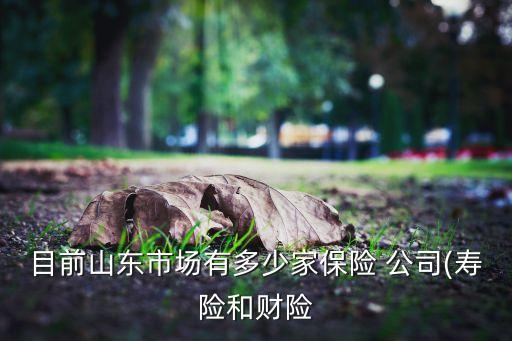 目前山東市場有多少家保險(xiǎn) 公司(壽險(xiǎn)和財(cái)險(xiǎn)