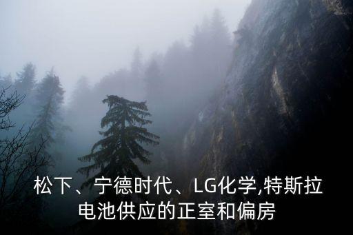  松下、寧德時代、LG化學(xué),特斯拉電池供應(yīng)的正室和偏房