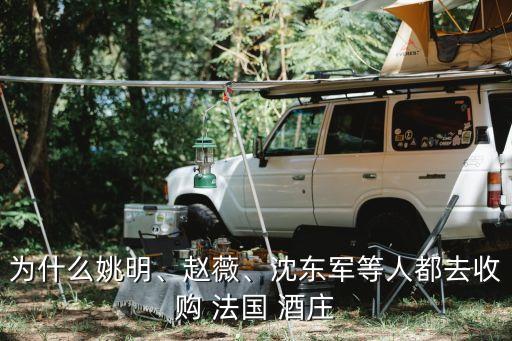 為什么姚明、趙薇、沈東軍等人都去收購(gòu) 法國(guó) 酒莊