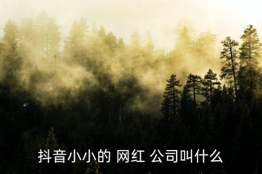 網紅公司