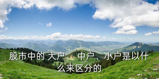 股市中的 大戶、 中戶、小戶是以什么來區(qū)分的