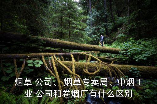  煙草 公司、 煙草專賣局、中煙工業(yè) 公司和卷煙廠有什么區(qū)別