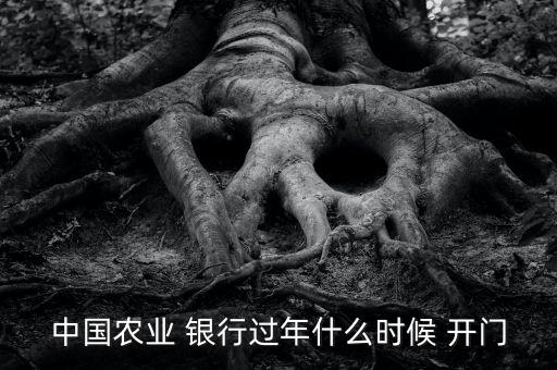 中國(guó)農(nóng)業(yè) 銀行過年什么時(shí)候 開門