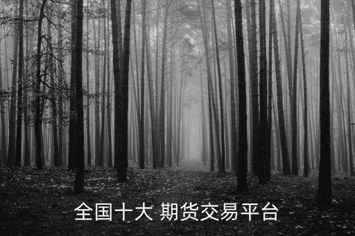 全國十大 期貨交易平臺(tái)