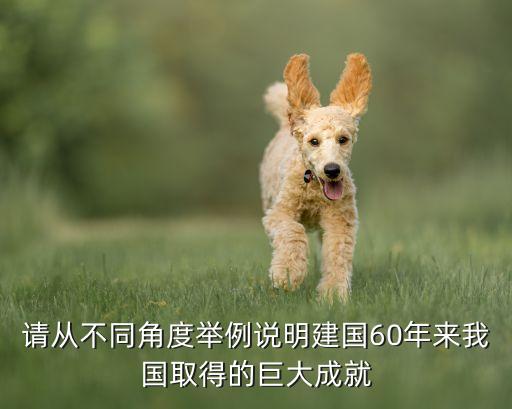 中國進(jìn)入互聯(lián)網(wǎng)交易時代,沒有互聯(lián)網(wǎng)時代股票怎么交易