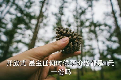 開放式 基金任何時(shí)候買價(jià)格都是1元 一份嗎