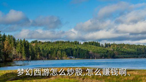  夢幻西游怎么炒股,怎么賺錢啊、