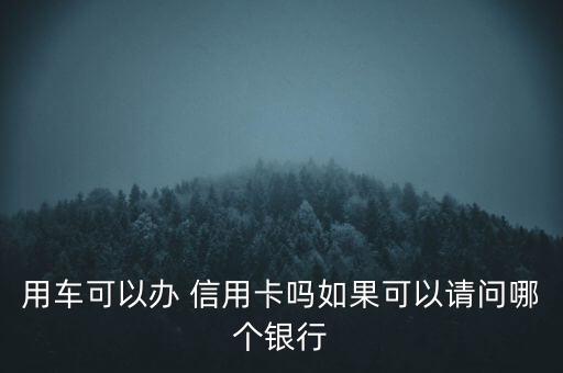 用車可以辦 信用卡嗎如果可以請問哪個銀行