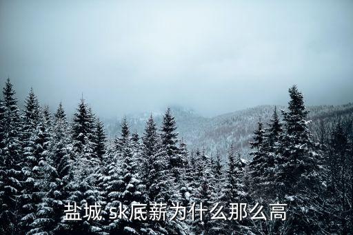 sk集團(tuán)怎樣,韓國(guó)sk集團(tuán)創(chuàng)始人