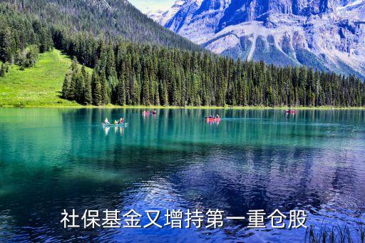 社?；鹩衷龀值谝恢貍}股