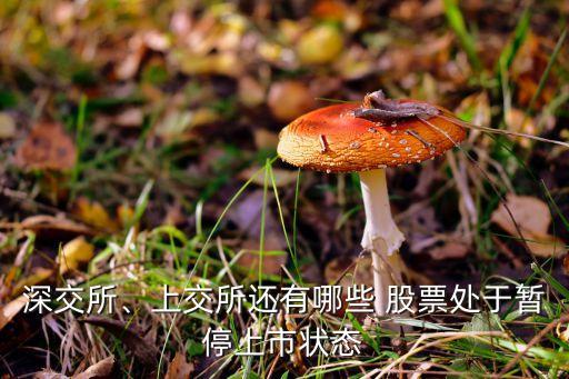 深交所、上交所還有哪些 股票處于暫停上市狀態(tài)