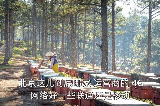  北京這兒到底哪家 運營商的 4G網(wǎng)絡(luò)好一些聯(lián)通還是移動